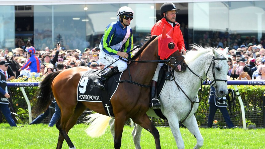 A brown horse walks alongside a white one on Flemington race track. The crowd is visible in the background.