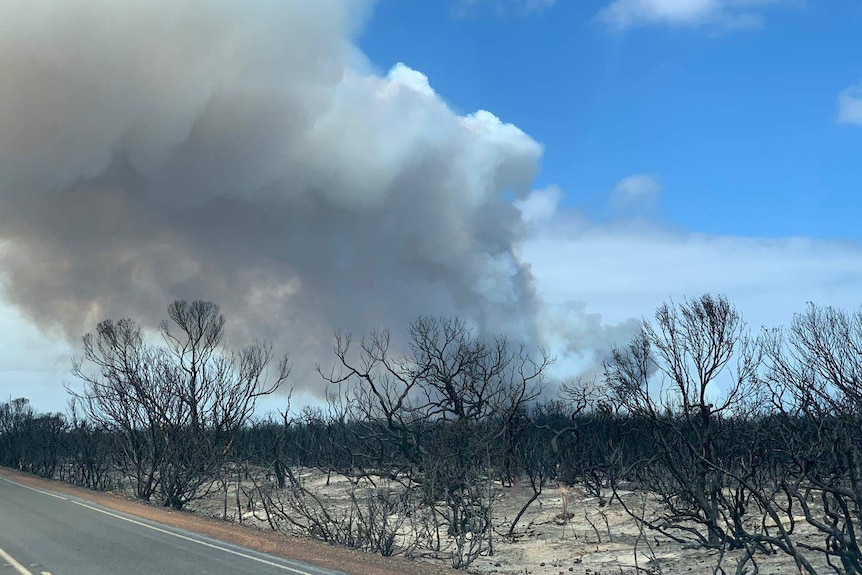 Smoke rises above a charred landscape.