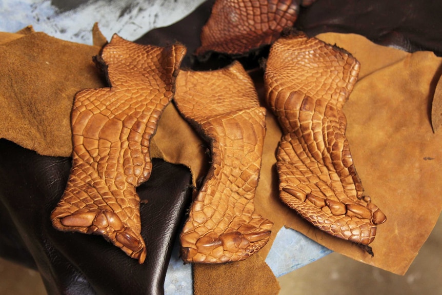 crocodile leather pieces