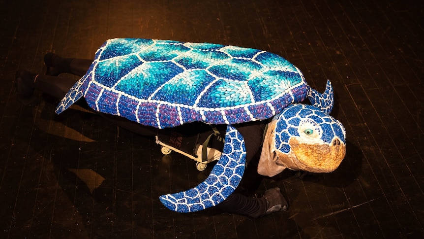 A blue and white patterned turtle lies on a darkened stage