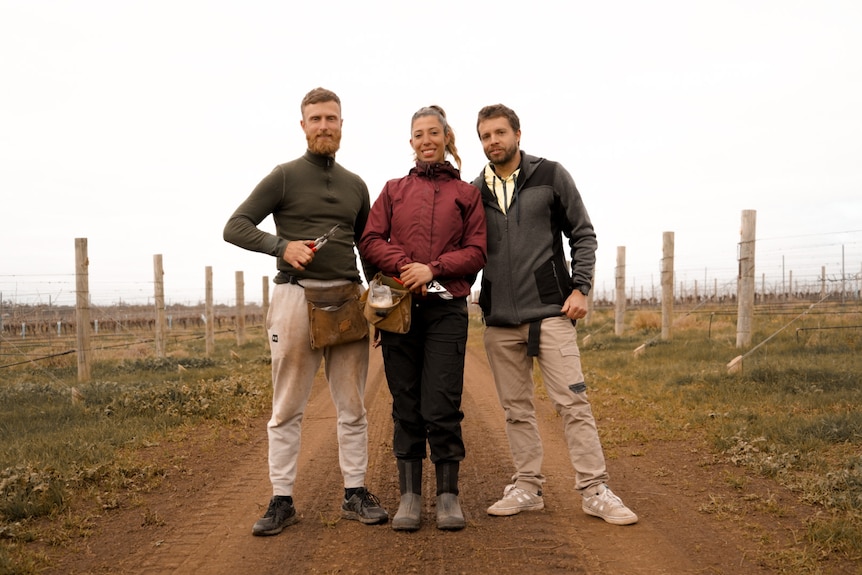 Two men and a woman stand in a vineyard smiling at the camera.