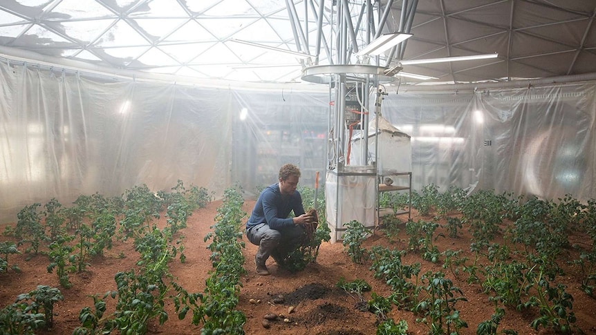 Matt Damon gardening on Mars in the film The Martian.