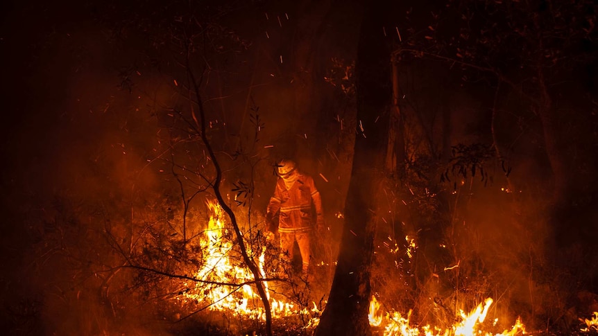Back-burning near Faulconbridge (Photo: John Donegan)