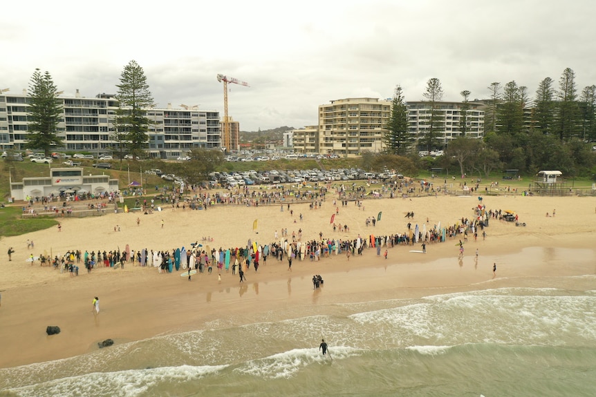 An aerial image showing a large line of surfers standing on a beach.