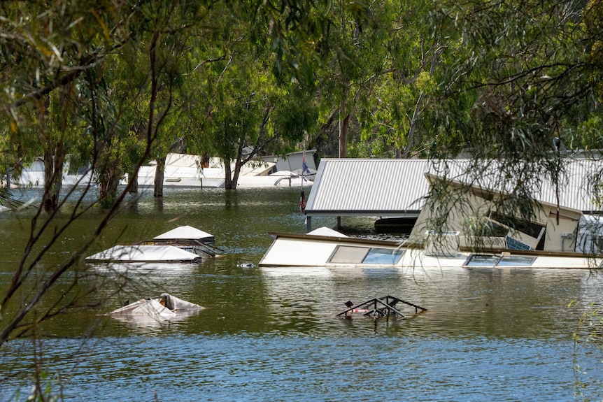 Blanchetown Caravan Park sumergido por las inundaciones.