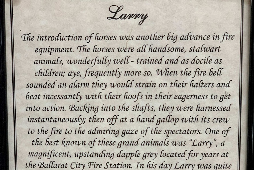 A re-written excerpt of an article about Larry in the local paper in the early 1900s