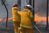 NSW firefighters are battling blazes on a number of fronts along the coast.