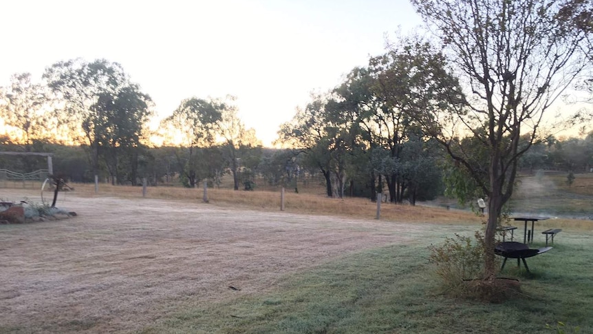 Frosty morning in paddock at Georgie Somerset's property in Queensland's South Burnett region,