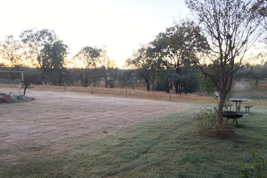 Frosty morning in paddock at Georgie Somerset's property in Queensland's South Burnett region.