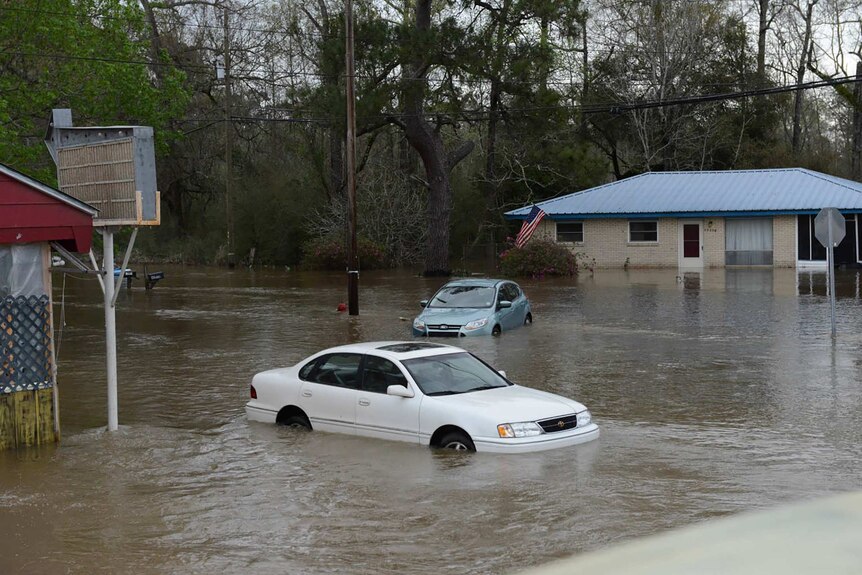 Cars sit partially submerged in a flood street in Louisiana.