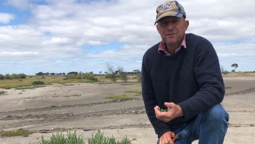 A farmer kneels down in his paddock next to a green plant.