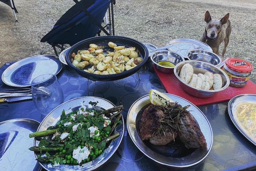 A plastic camping table in a dry paddock with plates containing roast meat, greens and potatoes. A kelpie stands nearby.