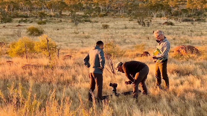 Three men looking at camera and sound equipment in bush landscape.