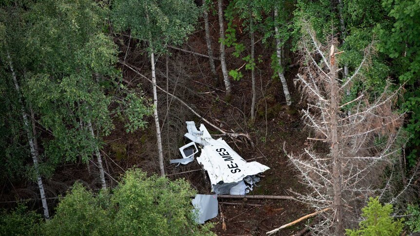 Wreckage of an aeroplane on the ground in a forest.