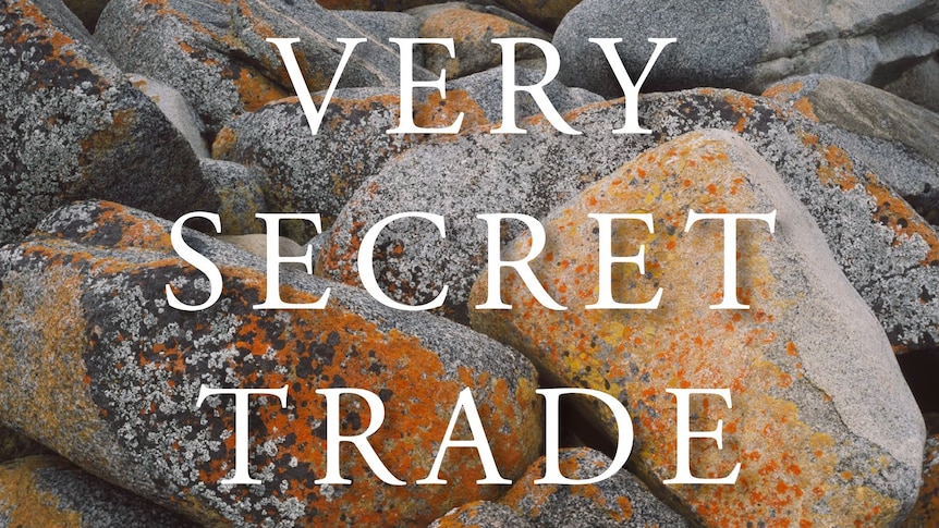 Book cover of rocks with "A Very Secret Trade" on cover