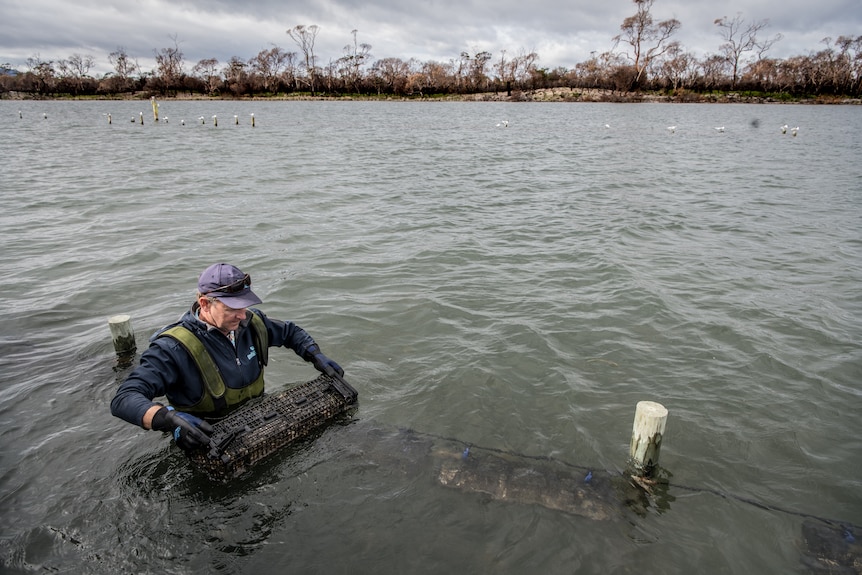 The waters of Swansea where the Melrose family operate.