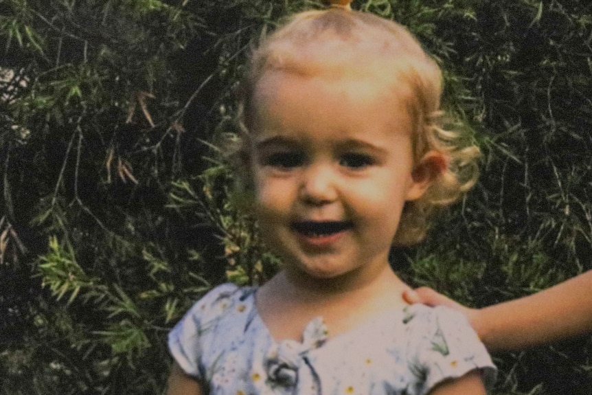 Photo of a toddler with blonde curly hair.