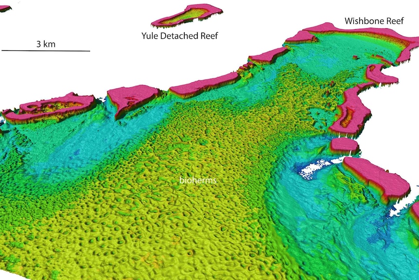 -D graphic image of the bioherms from the air.