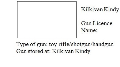 Individual gun licence