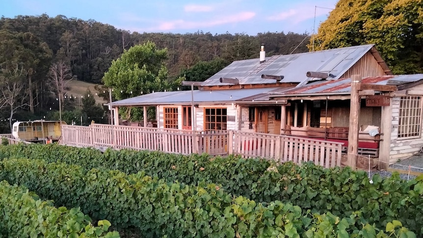 A rustic old shearing shed converted to a cellar door in Tasmania's north west