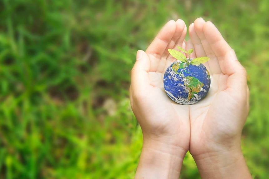 Two hands cup a small ball resembling earth which is sprouting a seedling over a green lush lawn.