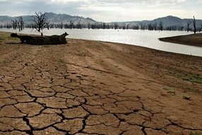 Murray Darling ( File photo: Getty Images)