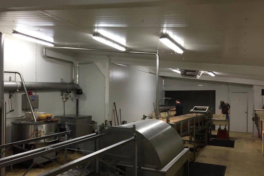 Two people and lots of machinery inside a honey processing plant.