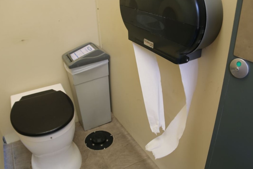 A public toilet, with a bin and toilet paper dispenser, with toilet paper hanging out of it.