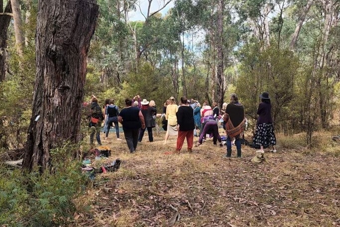 Gathering of women in bushland.