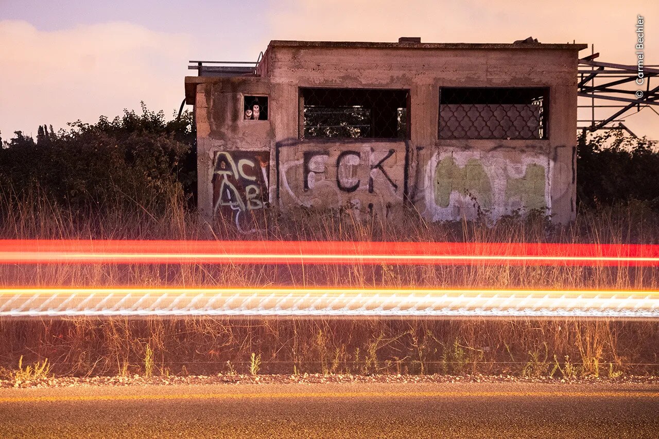 An abandoned building with two barn owls perched in the window next to a road