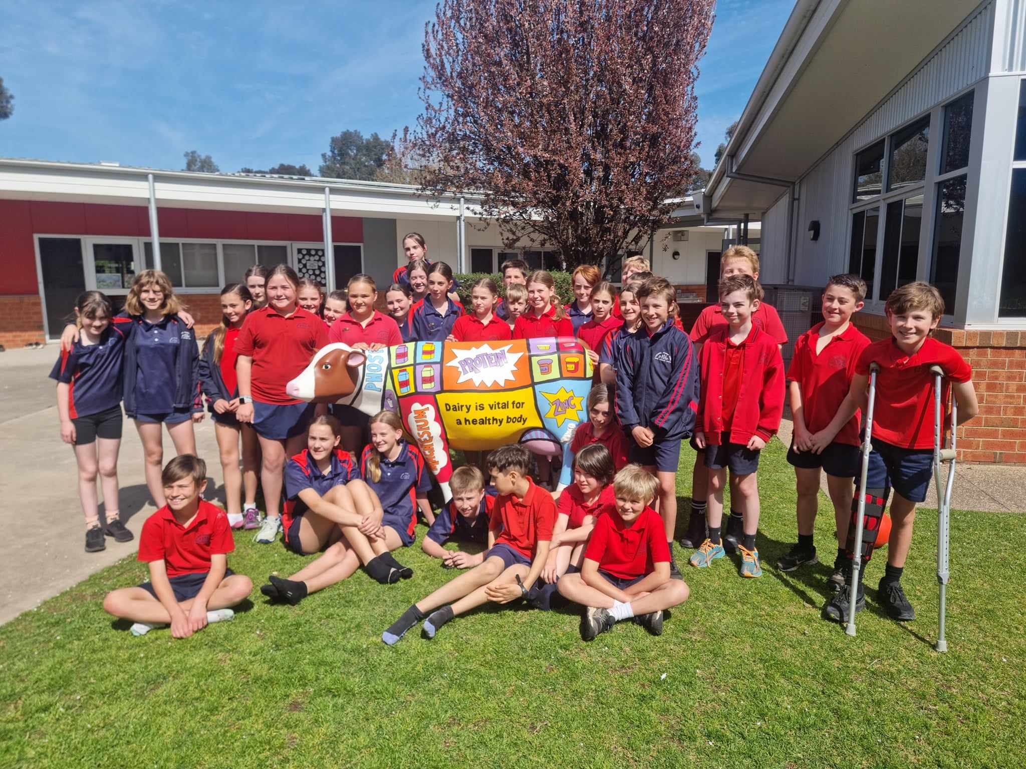 A group of primary school students in red uniforms stand smiling in front of their life-size painted cow.