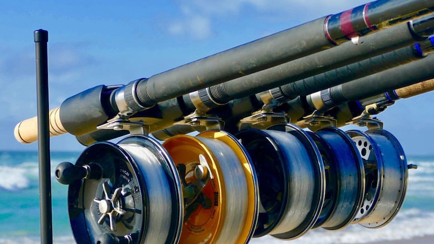 Fishing reels on rods on a beach.