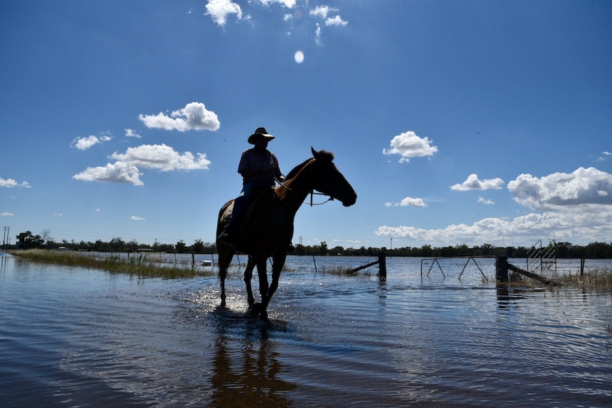 A man on a horse rides through water under a bright blue sky.