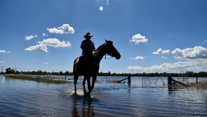 A man on a horse rides through water under a bright blue sky.