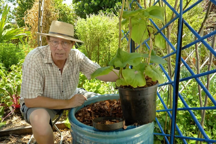 Jerry Coleby-Williams sits besides a large pot, holding a potted plant