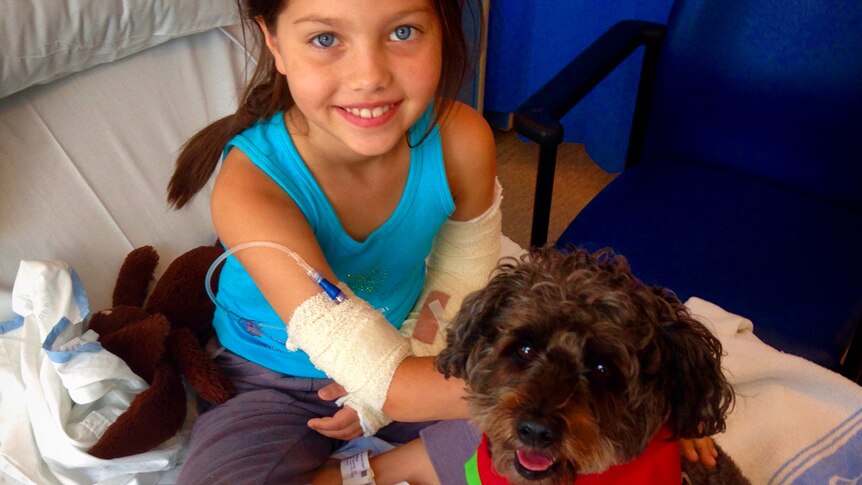 Therapy dog Marley visits patient Willow in hospital