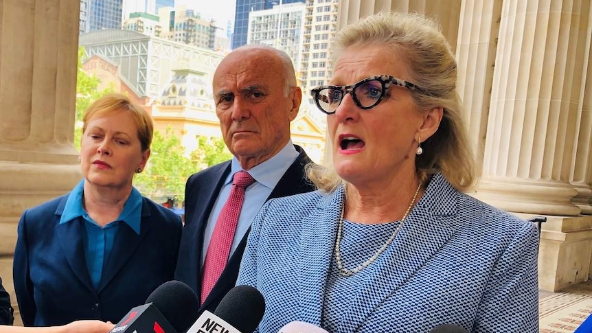 Penny Armytage is dressed in a checked suit as she speaks to reporters at a press conference outside Victorian Parliament.