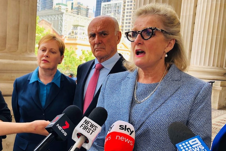 Penny Armytage is dressed in a checked suit as she speaks to reporters at a press conference outside Victorian Parliament.