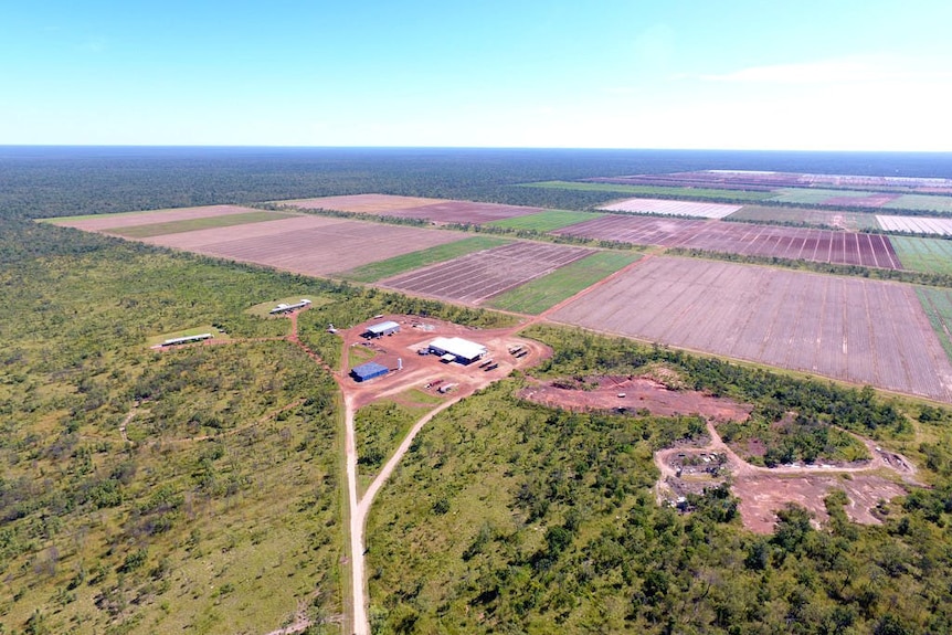 an aerial shot of a watermelon farm surrounded by scrub.