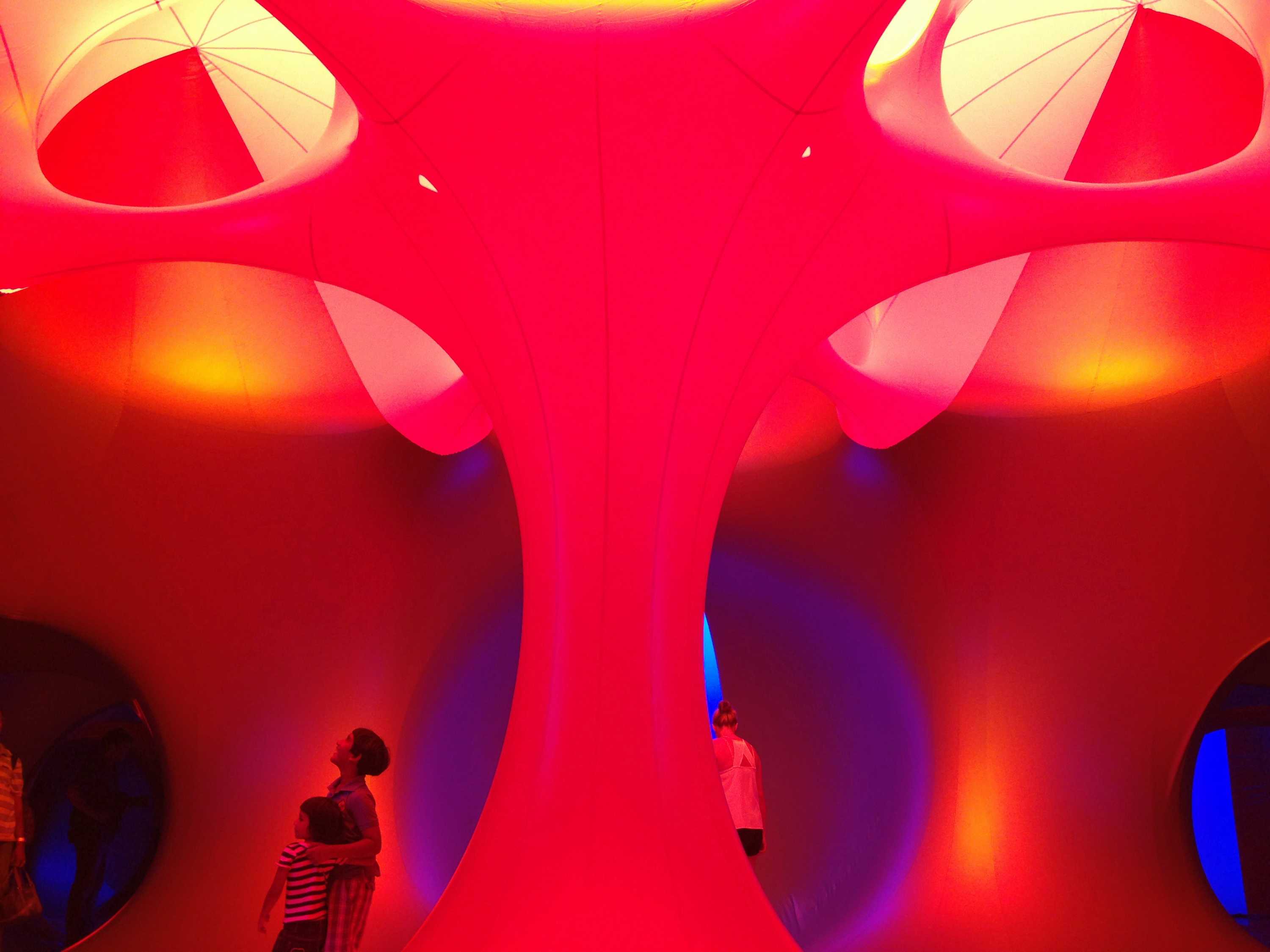 Sydneysiders lose their senses in giant inflatable maze - ABC News