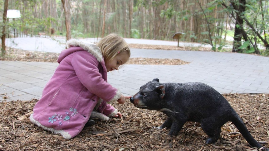 A child discovers a Tasmanian Devil at the Australian National Botanic Gardens, February 2018.