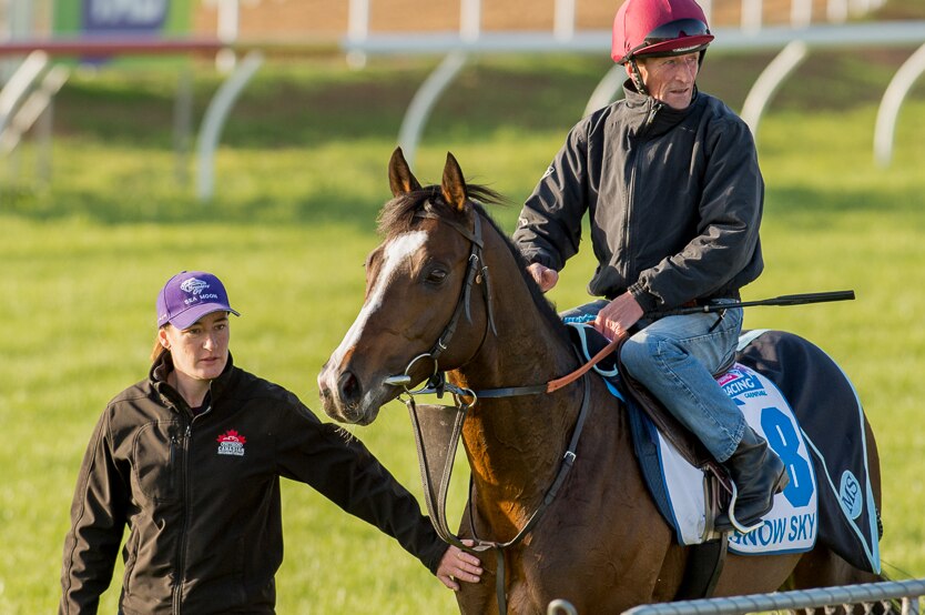 Sarah Denniff gives Snow Sky a pat after track work at Werribee.