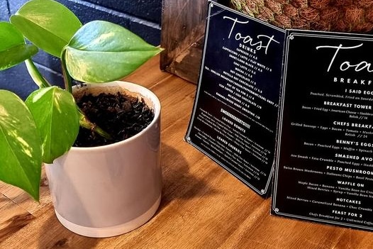 Countertop with plants and a menu on it. 