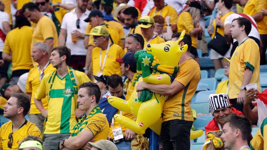 Socceroos fans look dejected in the stands