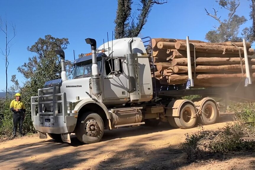 A logging truck with a full load. 