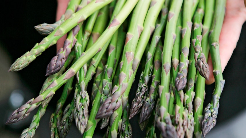 Asparagus from the kitchen garden