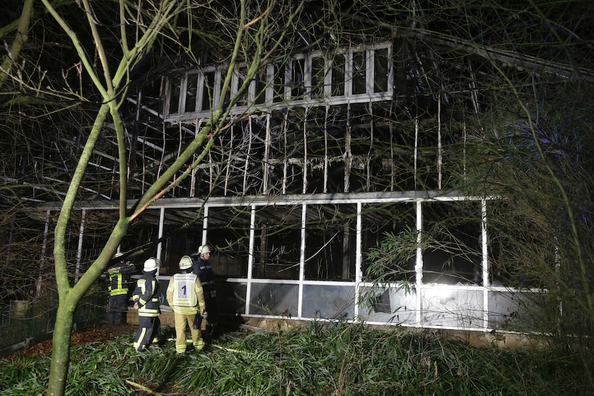 Firefighters stand in front of a blackened and burnt out animal house.