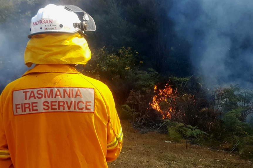 Firefighter standing in front of burning on the side of a road.