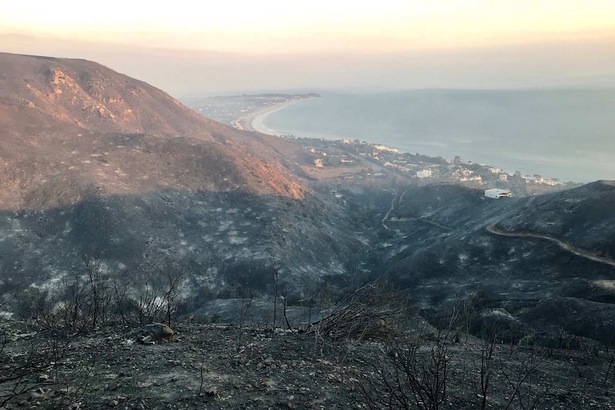 Burned hills overlooking a seaside community in Malibu