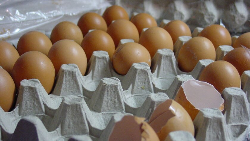 Canberra supermarkets have recorded a sharp jump in the sales of free-range eggs since the introduction of new labelling laws.